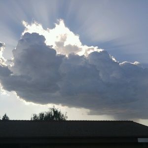 Meet your Posher, Chelsea